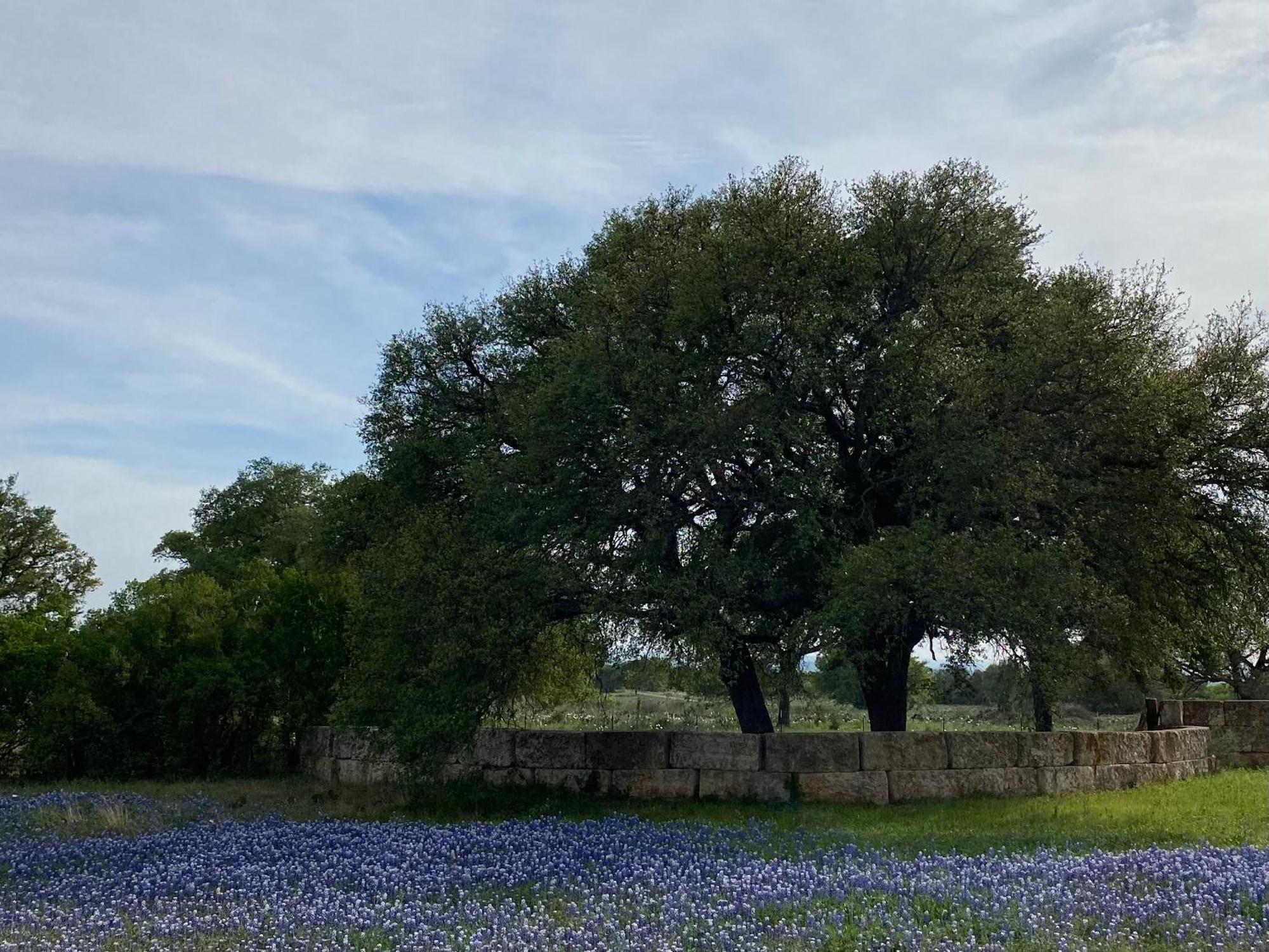 V700 Ranch Stays Marble Falls Extérieur photo